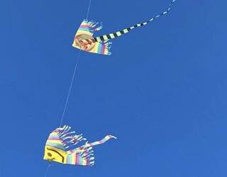 Taccuino e penna su una scrivania di legno